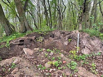 В Калининградской области разорвали каменный панцирь мёртвых