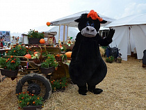 В Калининградской области началась подготовка ко Дню балтийского поля