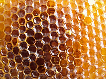 В Озерском районе женщина украла из соседнего села 5 кг мёда