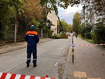 В Калининграде расколовшееся дерево грозило ворваться в квартиры