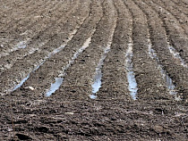 Собственник двух земельных участков под Гвардейском оштрафован на 46 тысяч рублей