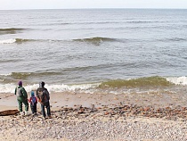 В Калининградской области ждут наплыва туристов в сентябре 