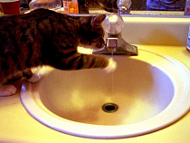 Суд взыскал с калининградца, затопившего соседку снизу, 114 тысяч рублей