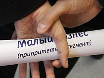 Росстат: данные переписи бизнеса не передадут в налоговую службу (инфографика)