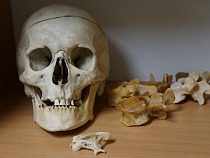 Власти объявили живого человека мёртвым и лишили его пенсии