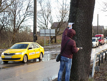 Общественники объявили войну рекламе на деревьях
