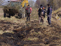 Под Калининградом подожгли поле 