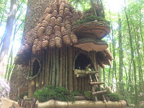 Сити-менеджер Светлогорска передал избу Бабы-Яги птицам (фото)