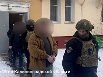 В Калининграде привлекают за комментарий в Телеграм 