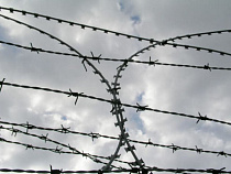  Калининградец проведет за решеткой 10 с половиной лет за незаконный оборот наркотиков и хранение боеприпасов