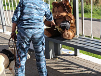 Взрывотехники обследовали подозрительного медведя на ж/д станции «Сельма»