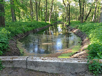 В Балтийске разыскивают лучшую архитектурную концепцию для парка имени адмирала Головко