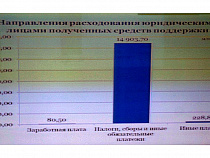 94% федеральных субсидий по «проблеме-2016» пошли на оплату налогов, сборов и обязательных платежей