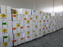 Таможенники не пустили в регион более 4,5 тыс. пар итальянских ботинок