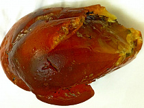 В Калининградской области нашли кусок янтаря весом в 1 килограмм 140 грамм (фото)