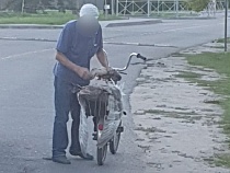 В Калининграде пенсионер перешёл на мясо лебедей