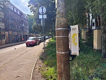 В Светлогорске ликвидировали туристический наезд из Германии