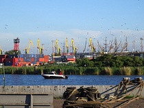 Приезжий из Подмосковья без стеснения украл смартфон в Калининграде