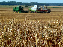 Глобальное потепление поднимет урожайность в Калининградской области