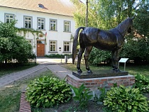 Деньги пенсионерки из Нестеровского района оказались в Алтайском крае