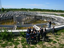 Директор "Водоканала" для анализа очищенных стоков предложил использовать раков