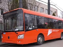 В Калининграде нашли замену маршруткам