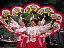 Аромат Кореи в Калининграде