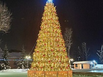 Жители Гурьевска с восторгом приняли городскую ёлку 