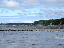 Застройщик из Москвы украсит берег моря у Светлогорска тысячами квартир