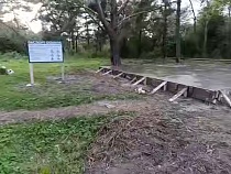 В Калининградской области ради велосипедистов забетонировали сосну