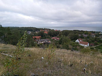 Двух арендаторов выгоняют из леса на Куршской косе