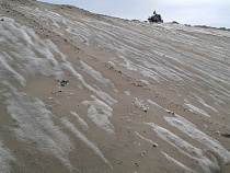 Главную свалку Калининграда обещают засеять травой