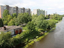 В Калининграде на нескольких улицах объявлен карантин из-за птичьего гриппа