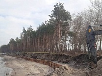 В Калининградской области любителям шашлыка восстанавливают условия отдыха