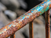 Мэр Калининграда поручил убрать ржавые ограждения с Советского проспекта