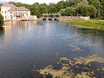 Калининградскую область предупредили о смертельном ветре