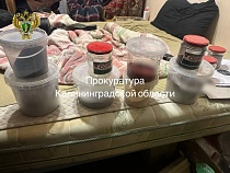 Житель Калининграда держал под кроватью взрывчатку