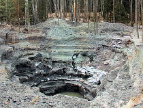 В 2016 году на «черных копателей» янтаря наложили штрафы почти на 9 млн рублей