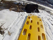 Сотрудники МЧС спасли мужчину, провалившего под лёд на улице Ялтинской 