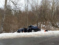 «Ауди» увёз в дерево своего водителя под Зеленоградском 
