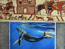 Сюжеты знаменитого Байёнского гобелена представят на выставке графики в Калининграде