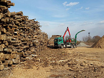 Калининградская область экспортирует щепки в Данию для теплоэлектростанции