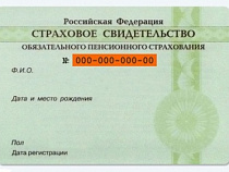 В России могут начать выдавать СНИЛС при рождении 