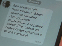 Женщина записала видеообращение к полицейским, нашедшим детскую коляску