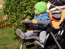 Власти Калининграда зарезервировали ещё 9 бесплатных участков для многодетных семей