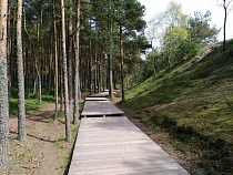 Англичанина оштрафовали за езду пьяным на велосипеде на Куршской косе