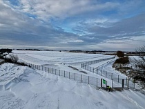 В Гусеве засеяли травой нелегальную советскую свалку