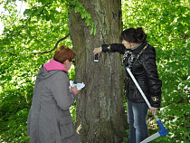 В Калининградской области возьмут на учет все памятники природы