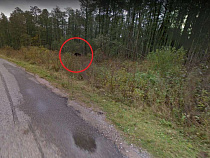 Google снял под Славском объект, похожий на медведя