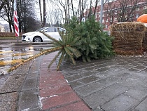 Прогноз: когда в Калининградской области стихнет штормовой ветер 